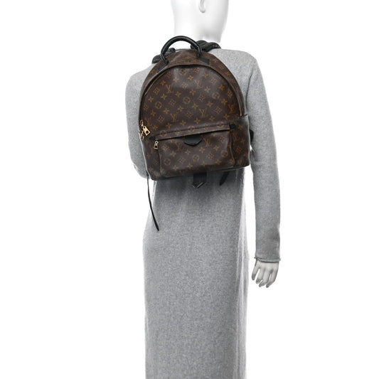 Monogram Palm Springs Backpack MM