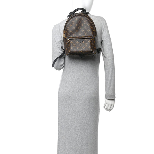 Monogram Palm Springs Backpack PM
