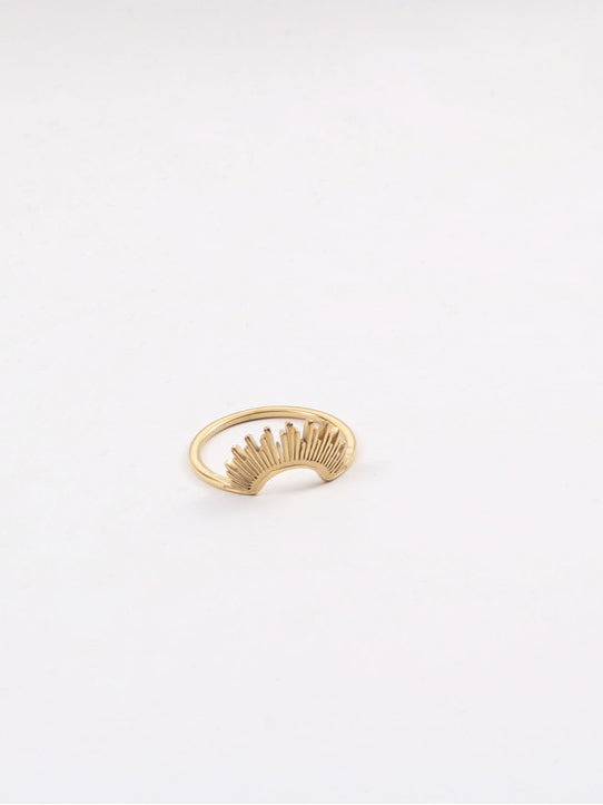 Anillo de margarita y girasol