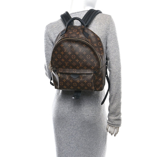 Monogram Palm Springs Backpack MM