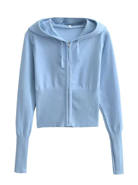 Trendy Knit 2-Piece Set: Women’s Hoodie Tracksuit & Crop Top Knitwear Pants