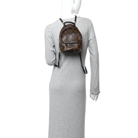 Monogram Palm Springs Backpack Mini