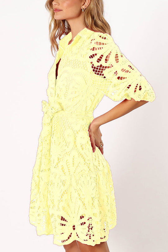 Solid Color Lace Cutout Balloon Sleeves and Waist Tie Mini Dress