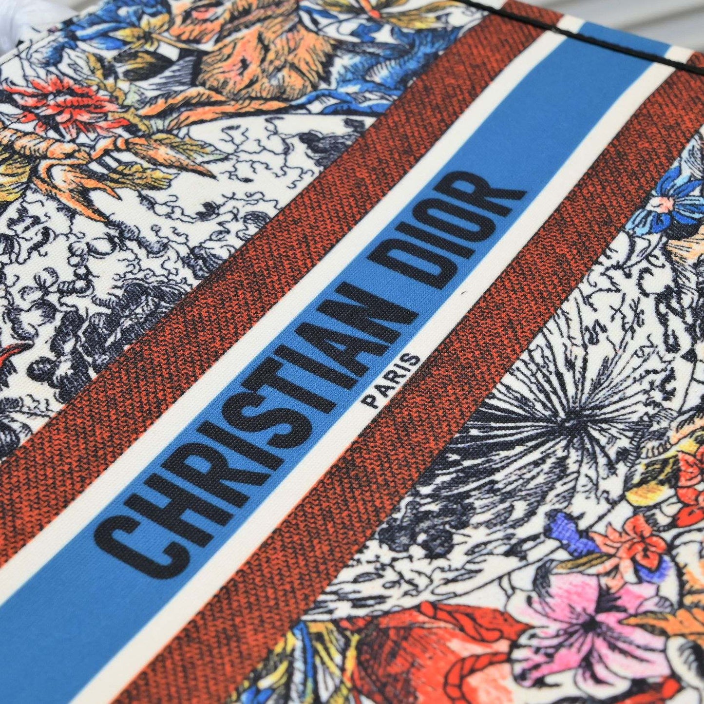 DIOR BOOK TOTE BAG