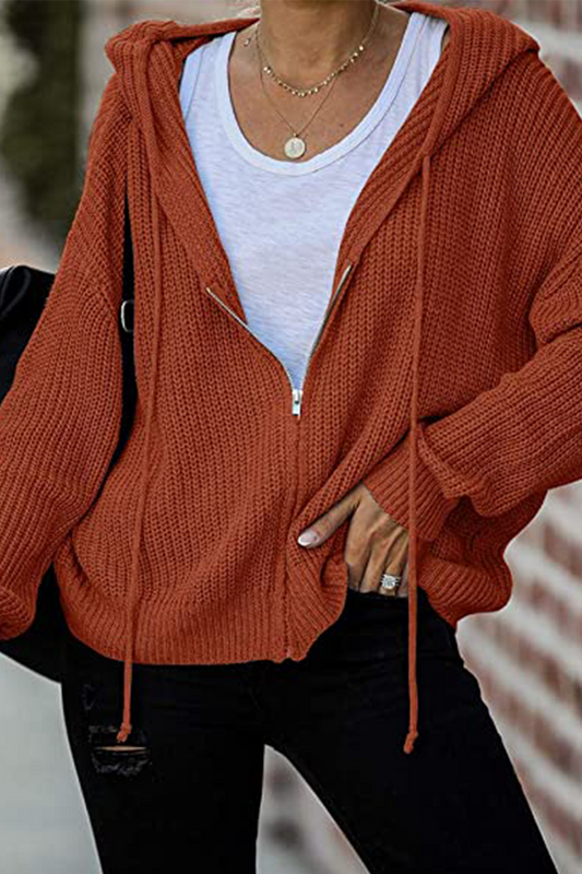 Suéteres casuales de color sólido con cremallera y cuello con capucha (5 colores)