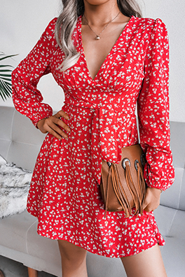 Casual Floral Patchwork Frenulum V Neck A Line Dresses(3 Colors)£©