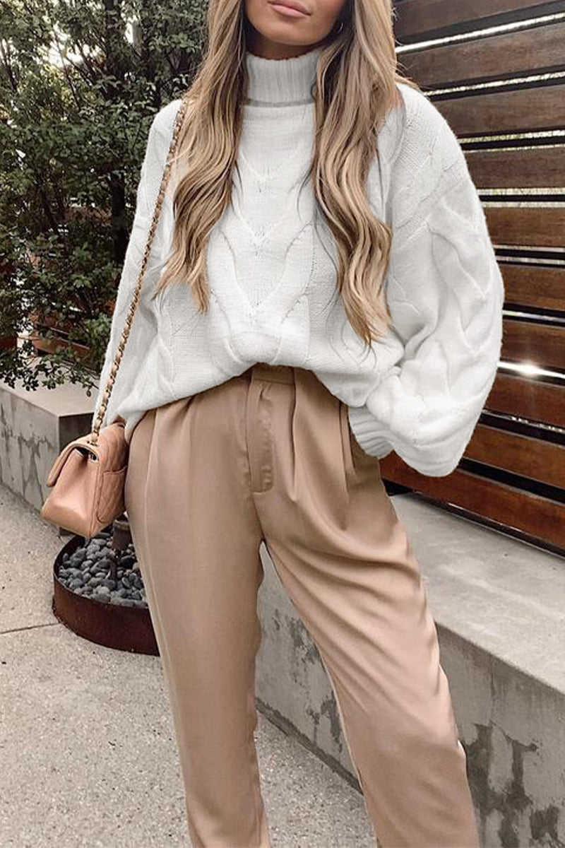 Suéteres casuales de cuello alto de color liso para calle (5 colores)