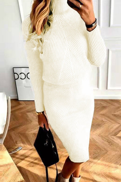 Casual Solid Basic Turtleneck Long Sleeve Two Pieces(5 Colors)