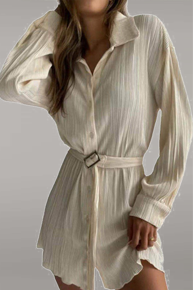 Vestido camisero con cuello vuelto y parches lisos de calle