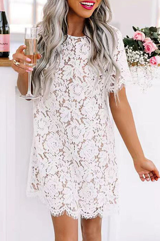 Vestidos de princesa elegantes de celebridades con encaje liso y cuello redondo ahuecado
