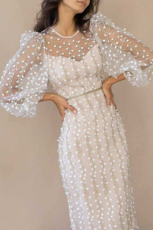 Vestidos elegantes de celebridades con cuello redondo, transparentes y bordados.