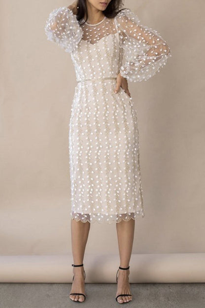 Vestidos elegantes de celebridades con cuello redondo, transparentes y bordados.