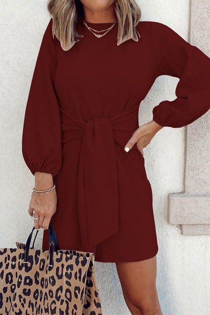 Vestidos casuales sencillos de color liso con cuello redondo y manga larga