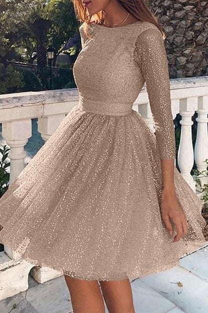 Elegante vestido de encaje liso con cuello redondo y corte A (3 colores)