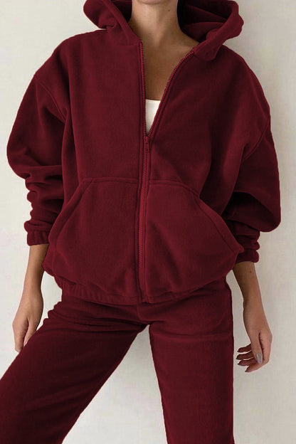 Conjunto informal de dos piezas con capucha, cuello y manga larga, color sólido y cremallera