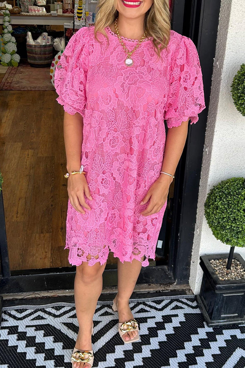 Vestidos casuales de encaje con cuello redondo y manga corta (7 colores)
