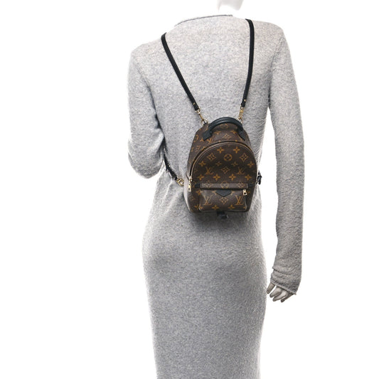Monogram Palm Springs Backpack Mini