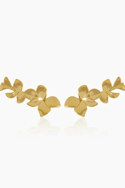Orchid Gold