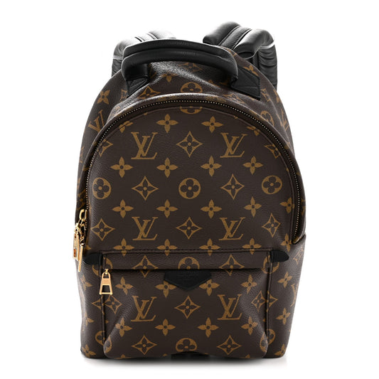 Monogram Palm Springs Backpack PM