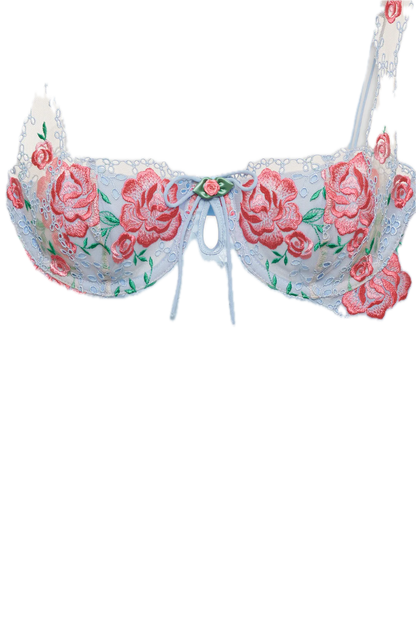 Vintage Rose Eyelet Slip