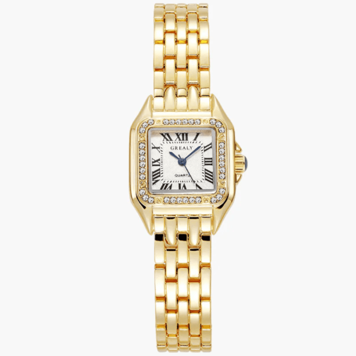 Monaco Watch