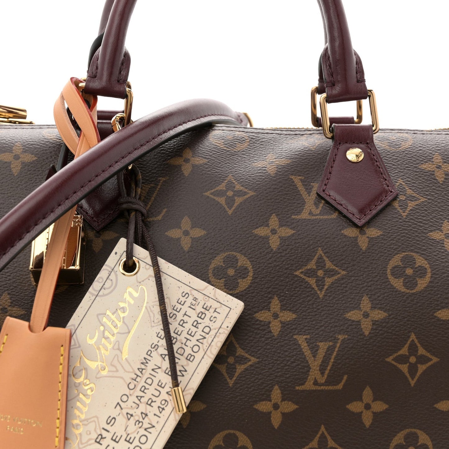 Monogram Speedy Soft 30 Celebration