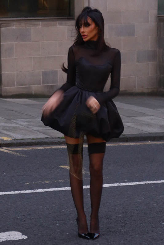 Winter Elegant Mesh Sheer Slim Fit Puff Mini Dress