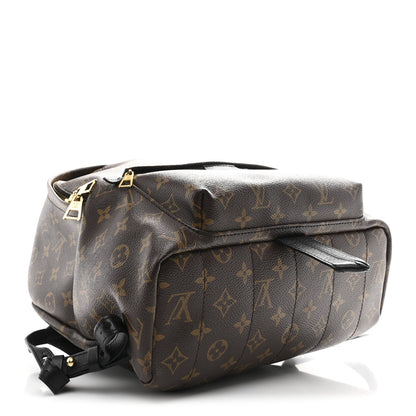Monogram Palm Springs Backpack MM