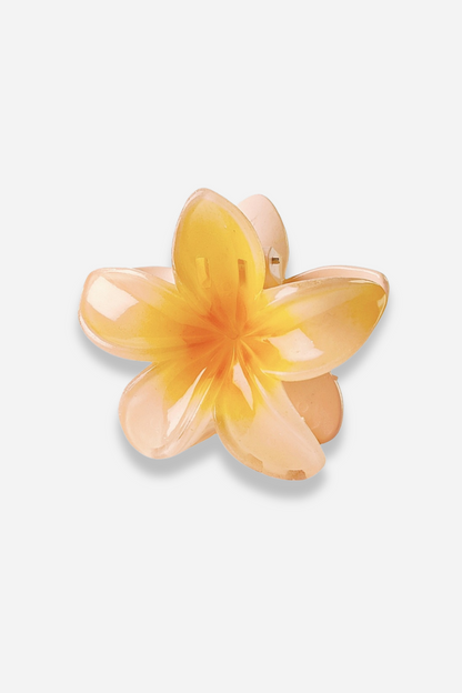 Pinza para el pelo con flor de frangipani 