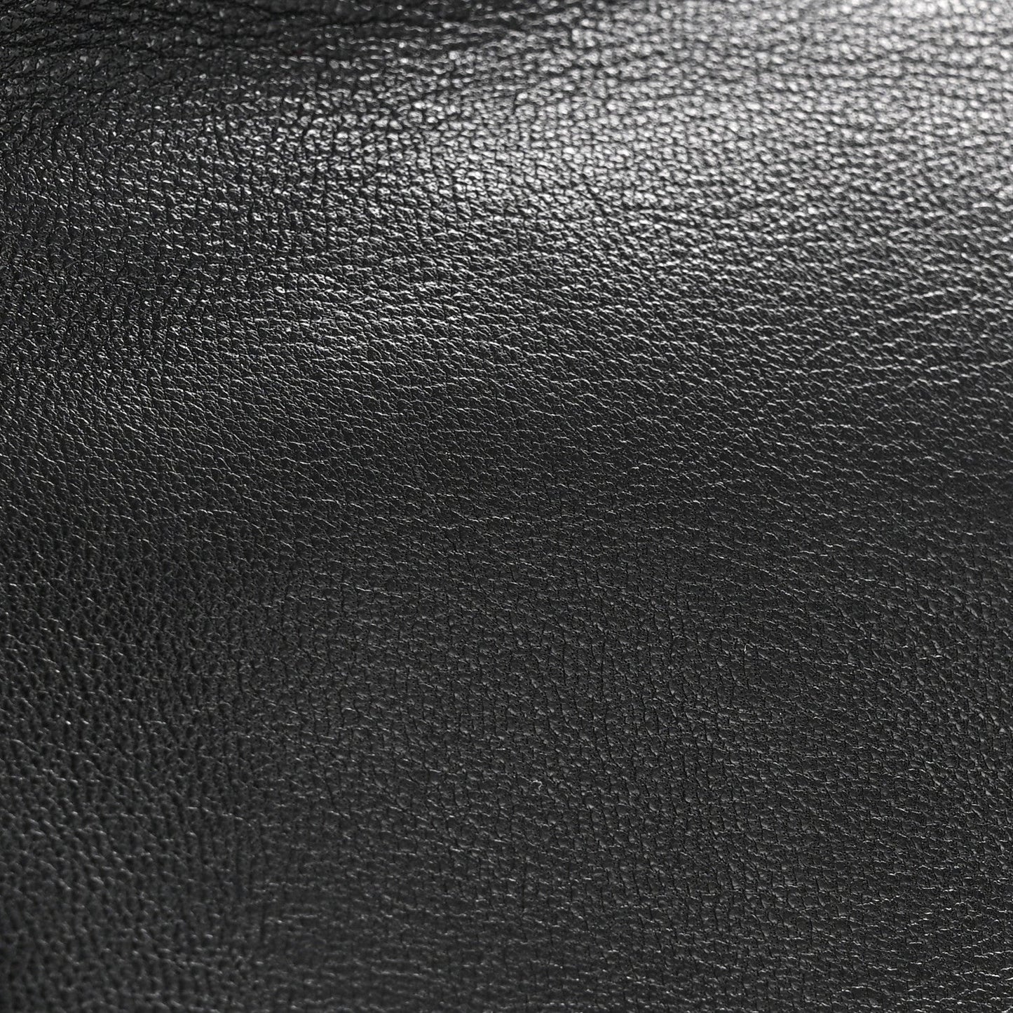 Goatskin Quilted Medium Chanel 19 Flap Black