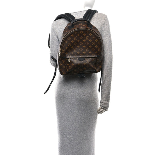 Monogram Palm Springs Backpack MM