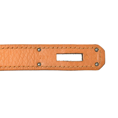 Taurillon Clemence Jypsiere 28 Orange