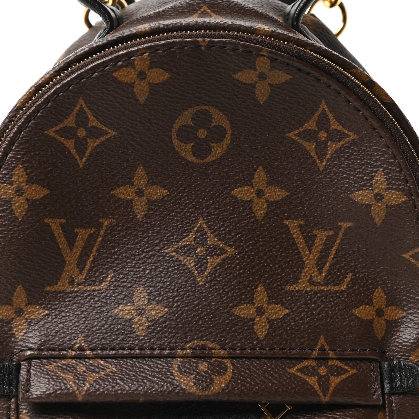 Monogram Palm Springs Backpack Mini