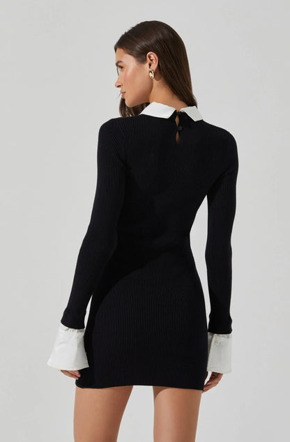 Alexia Mixed Media Mini Dress