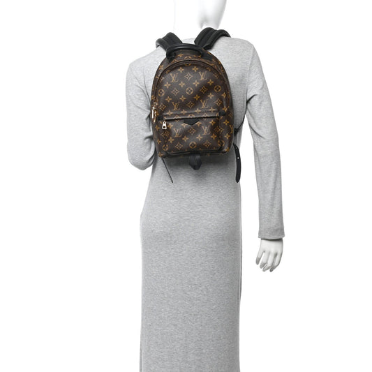 Monogram Palm Springs Backpack PM