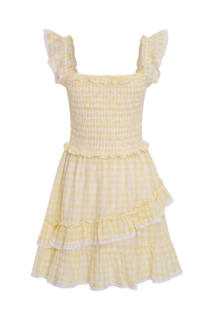 Aline Gingham Eyelet Mini Dress