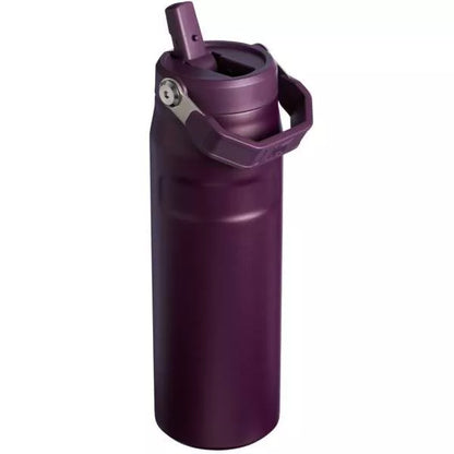 Stanley 24oz IceFlow Aerolight Stainless Steel Water Bottle with Flip Straw 2.0