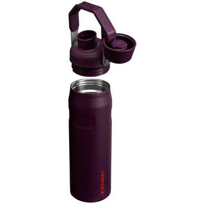 IceFlow™ Bottle with Fast Flow Lid | 24 OZ - Stanley Create