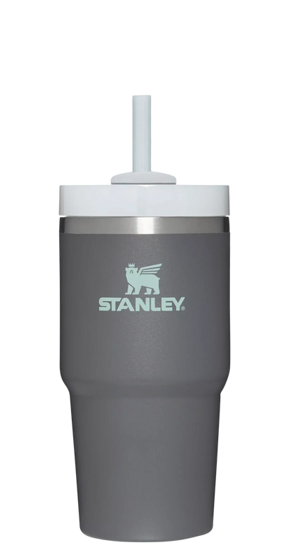 The Quencher H2.0 FlowState™ Tumbler | 20 OZ - Stanley Create