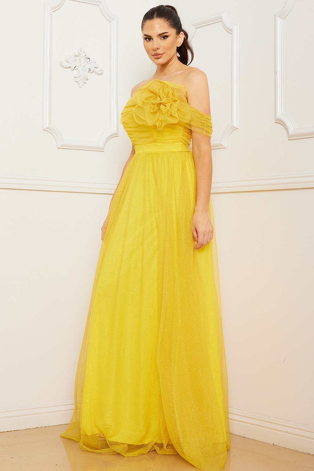 Symphony Dress - Glitter Mesh Tube Top Maxi Dress