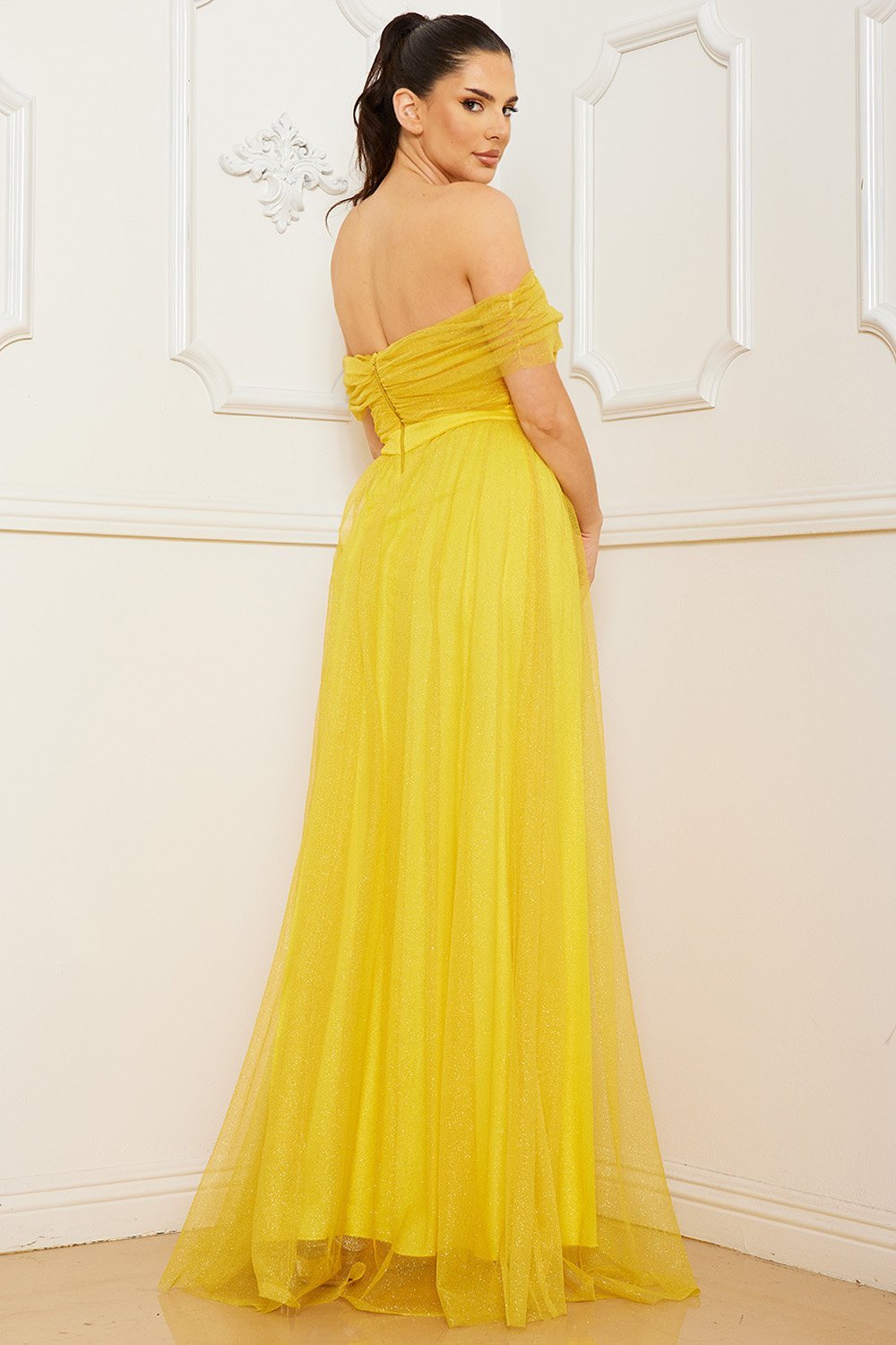 Symphony Dress - Glitter Mesh Tube Top Maxi Dress