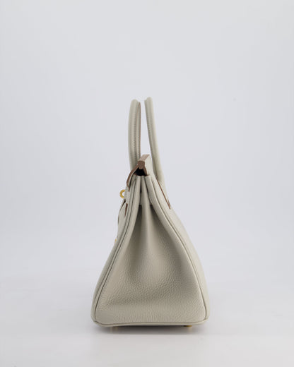 Hermès Birkin 25cm Retourne Bag in Gris Perle Togo Leather with Gold Hardware