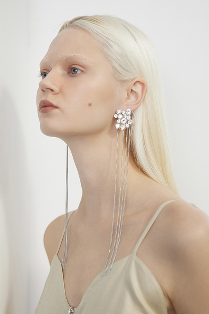 Tassel Long Earrings