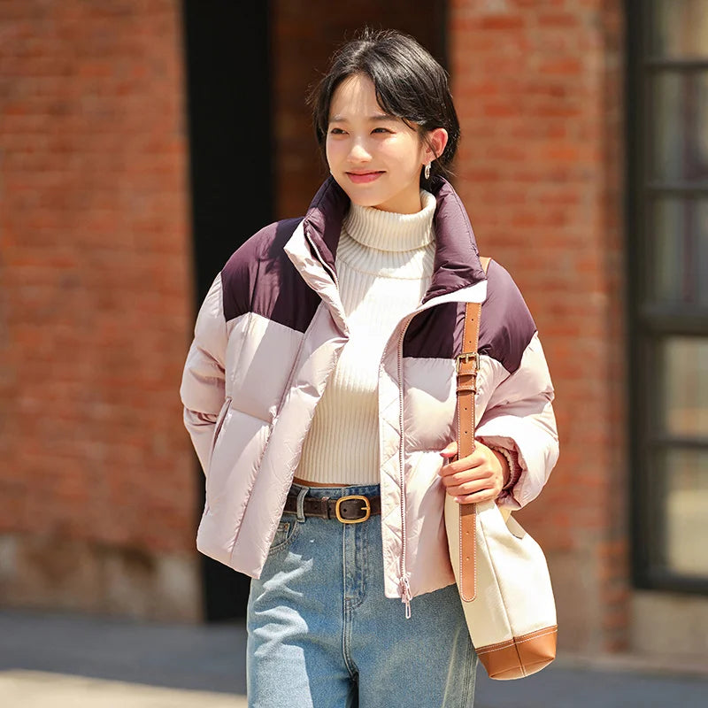 Chaqueta de plumón para mujer, impermeable, holgada, sencilla, nueva, de invierno, con cuello alto, chaqueta de plumón