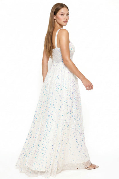 Symphony Dress - Sequins On Mesh Ball Gown Maxi Dress