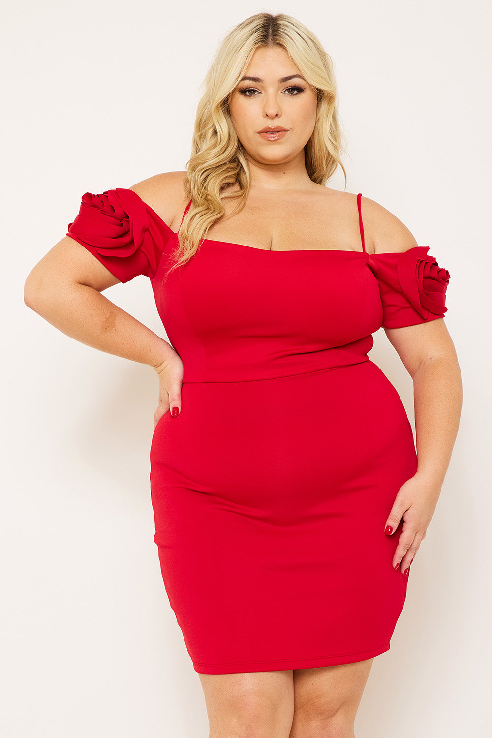 Symphony Dress - Flower Oblique On Sleeve Plus Size Night Out Mini Dress