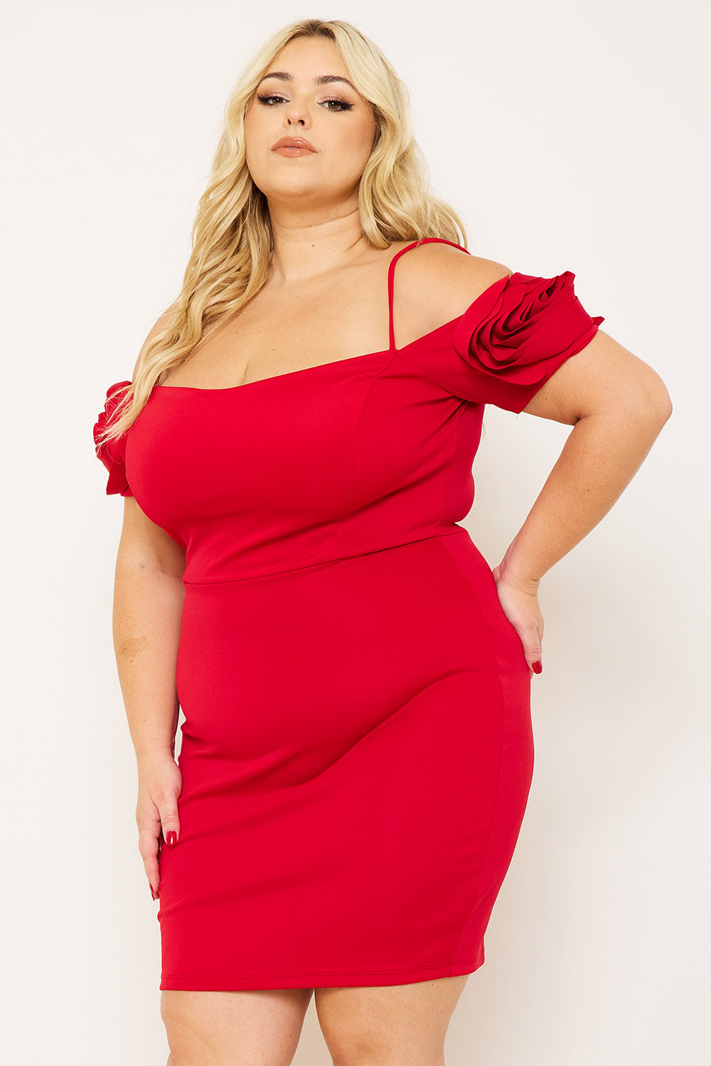 Symphony Dress - Flower Oblique On Sleeve Plus Size Night Out Mini Dress