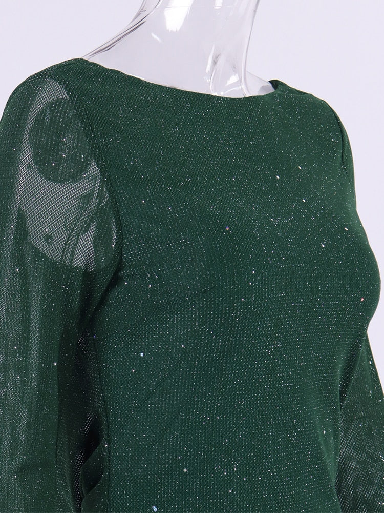 Aella Sequin Dress with Long Sleeves