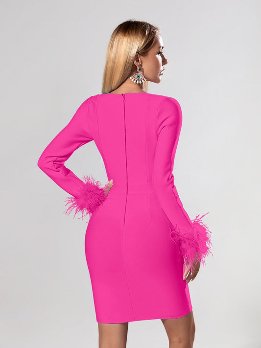Candace Long Sleeve Feather Dress