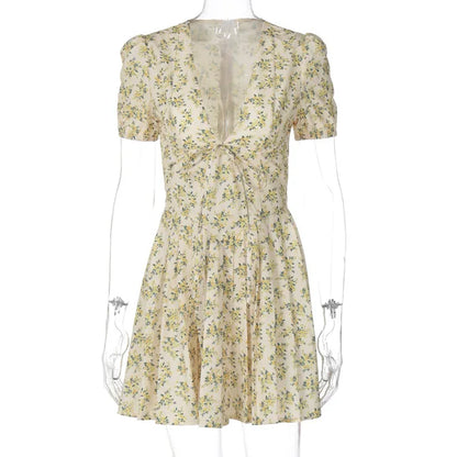 Sexy Deep V Neck Women’s Dresses 2025 Summer Fashion A-line Dress Female High Waist Pleated Printed Beach Party Dresses